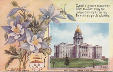 Featured is an image of a lovely souvenir postcard from Denver, Colorado, circa 1910.  The original unused postcard is for sale in The unltd.com Store.
